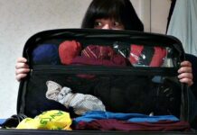 Op reis gaan; wat moet er allemaal mee? reis